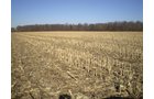 Property photo 10 - 159 Acres Offered in 7 Tracts